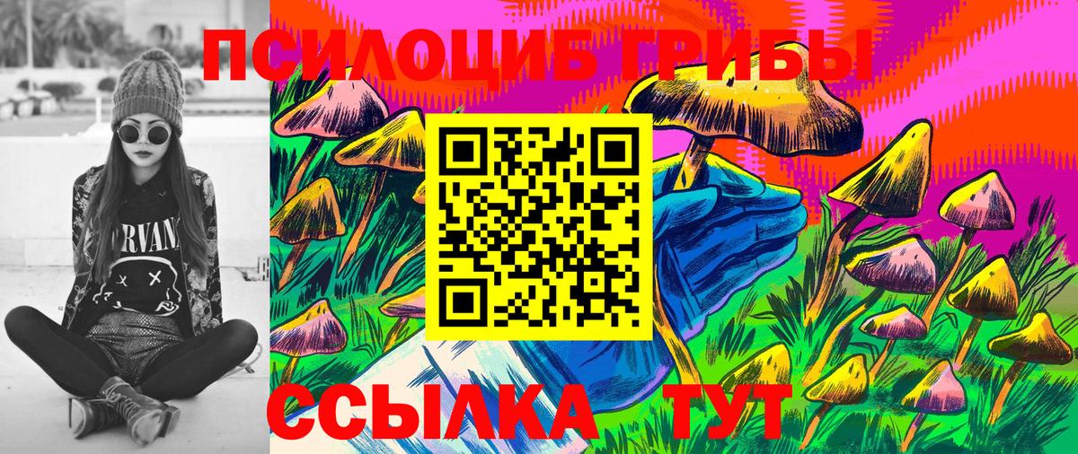 Псилоцибиновые грибы MAGIC MUSHROOMS  Псилоцибиновые грибы мицелий  Вход с VPN  Ноябрьск 